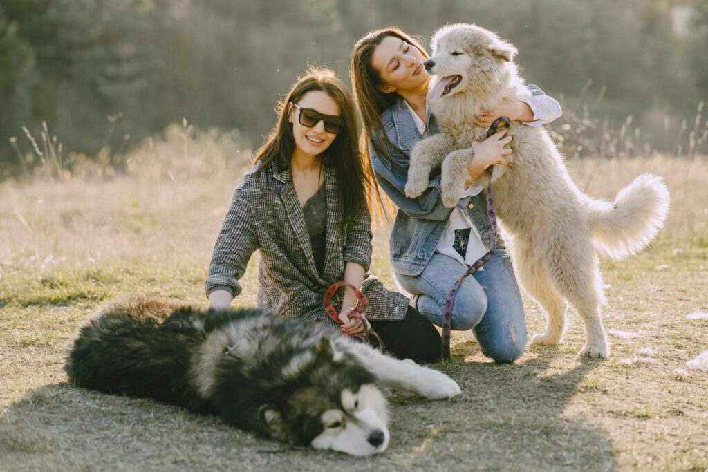 Two women in a grassy field playing with their fluffy dogs, enjoying a sunny day.